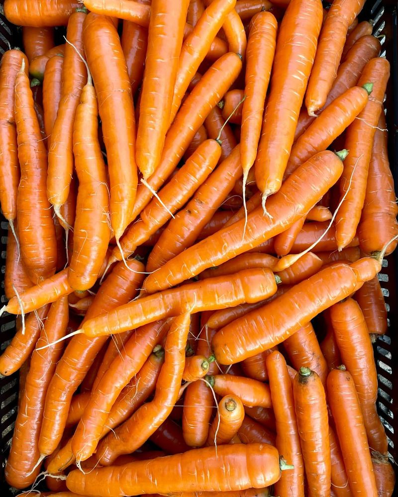 Carrots