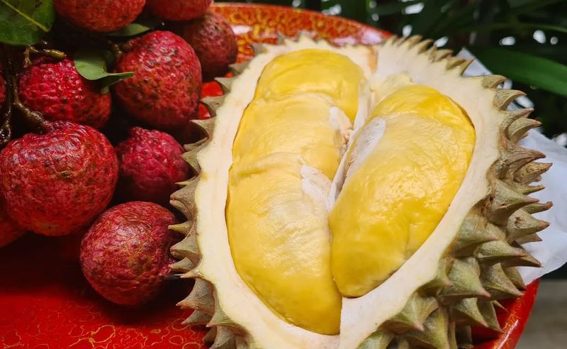 Durian