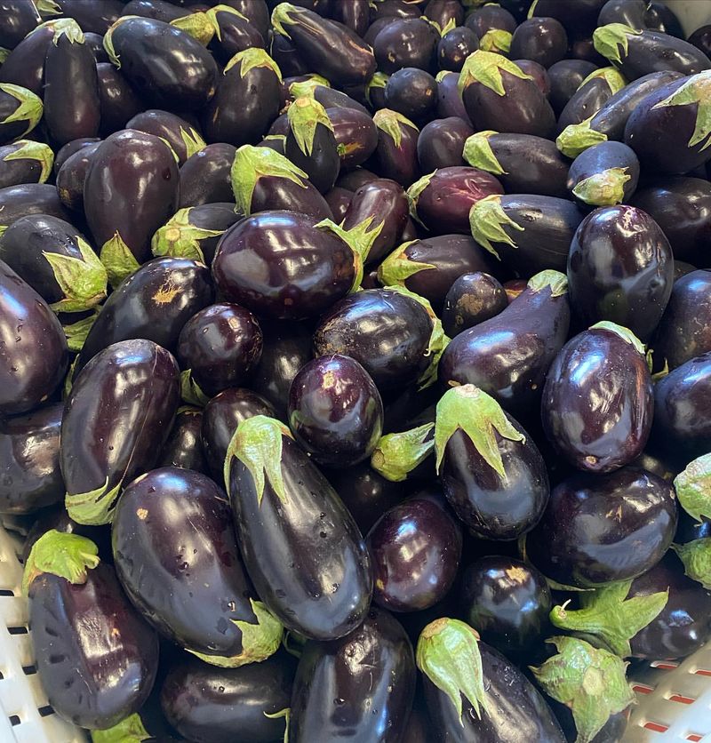 Eggplant