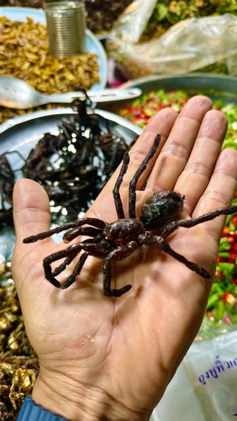 Fried Tarantula