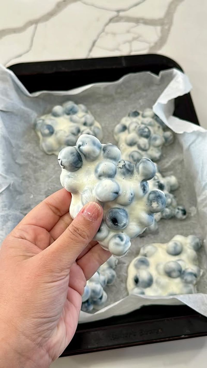 Greek Yogurt Berry Bites