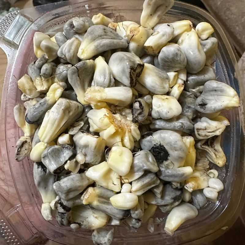 Huitlacoche (Corn Fungus)