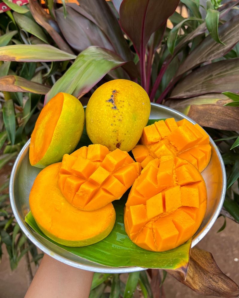 Mango