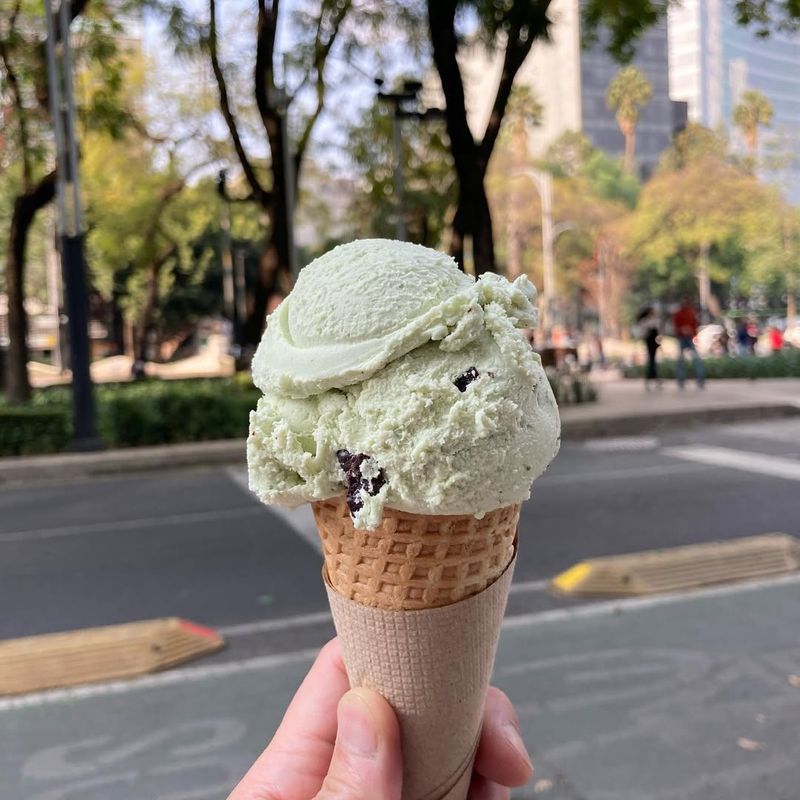 Mint Chocolate Chip Ice Cream