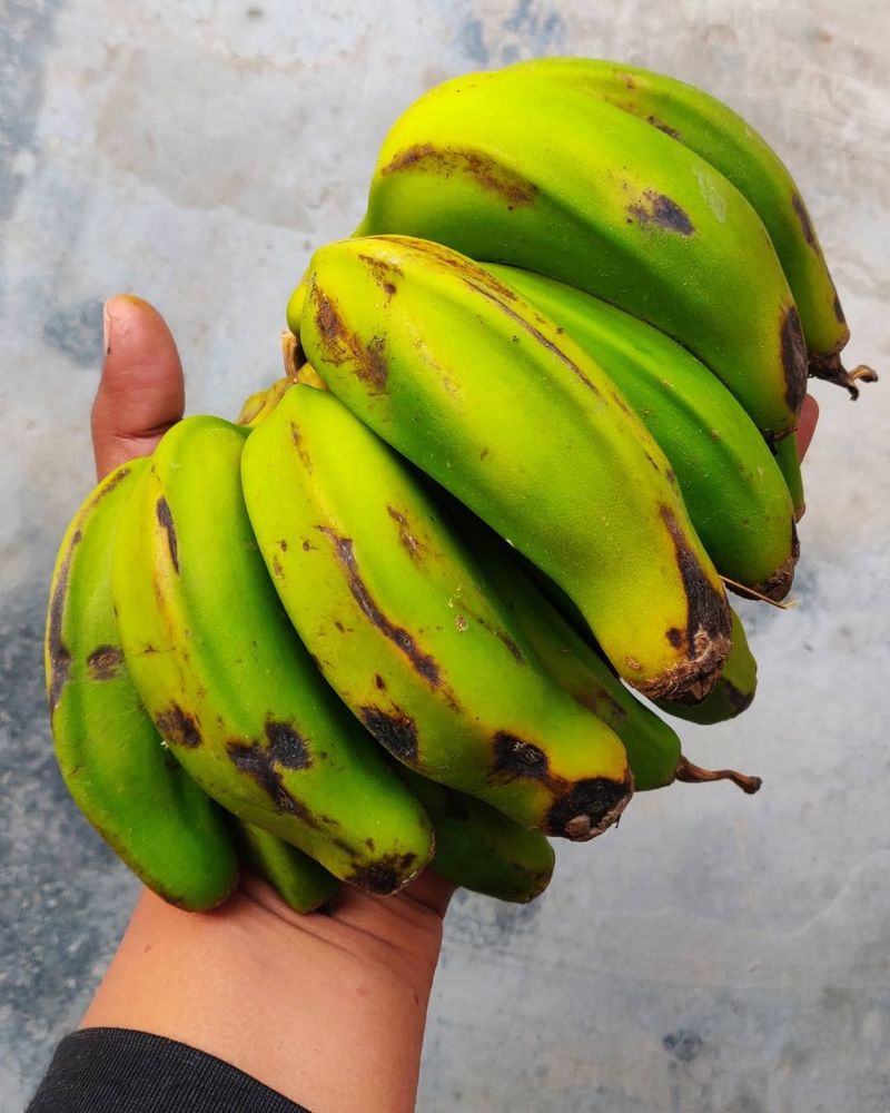 Green Bananas