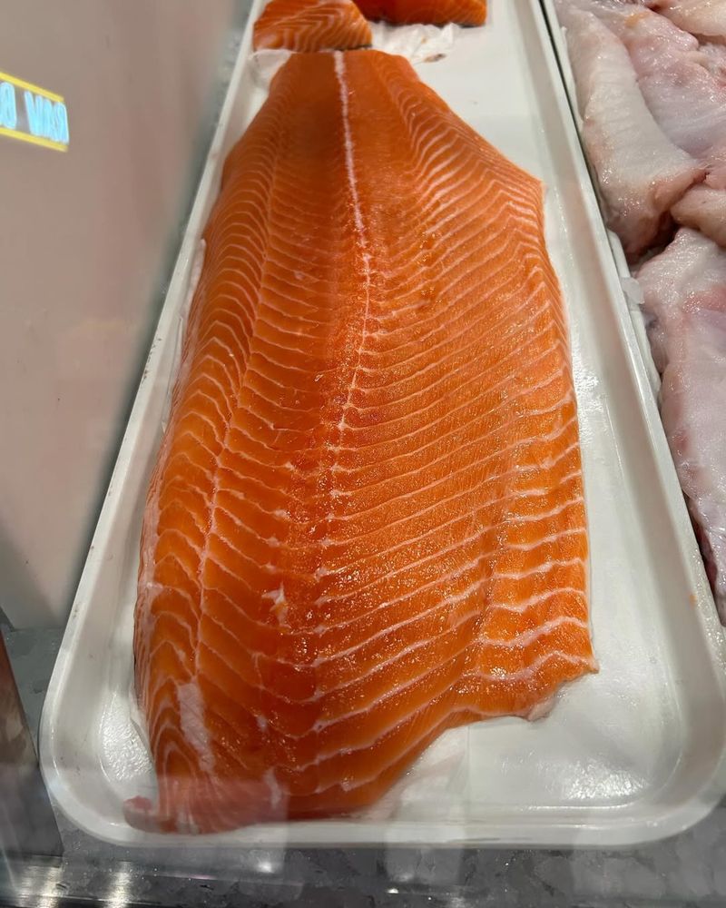 Farmed Atlantic Salmon