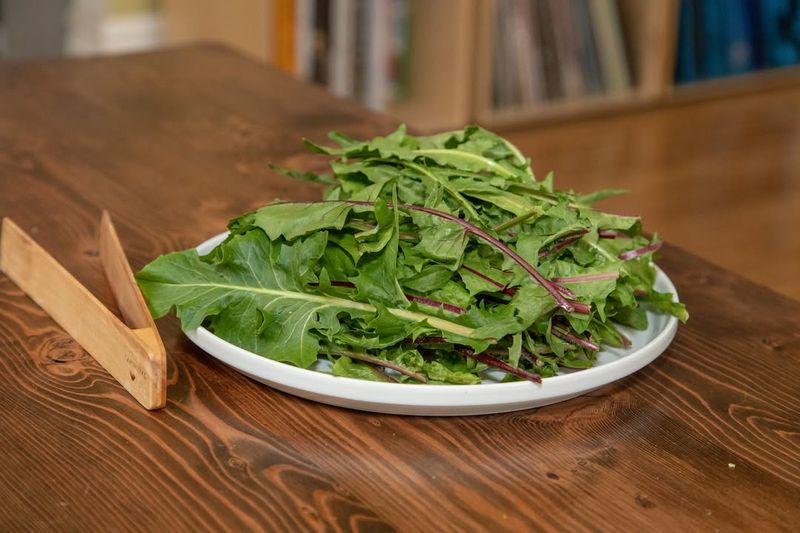 Dandelion Greens