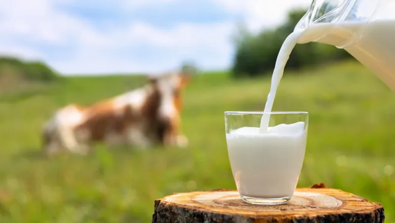 Raw Milk