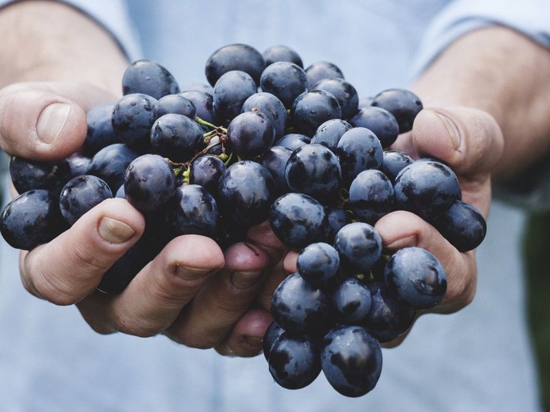 Red Grapes
