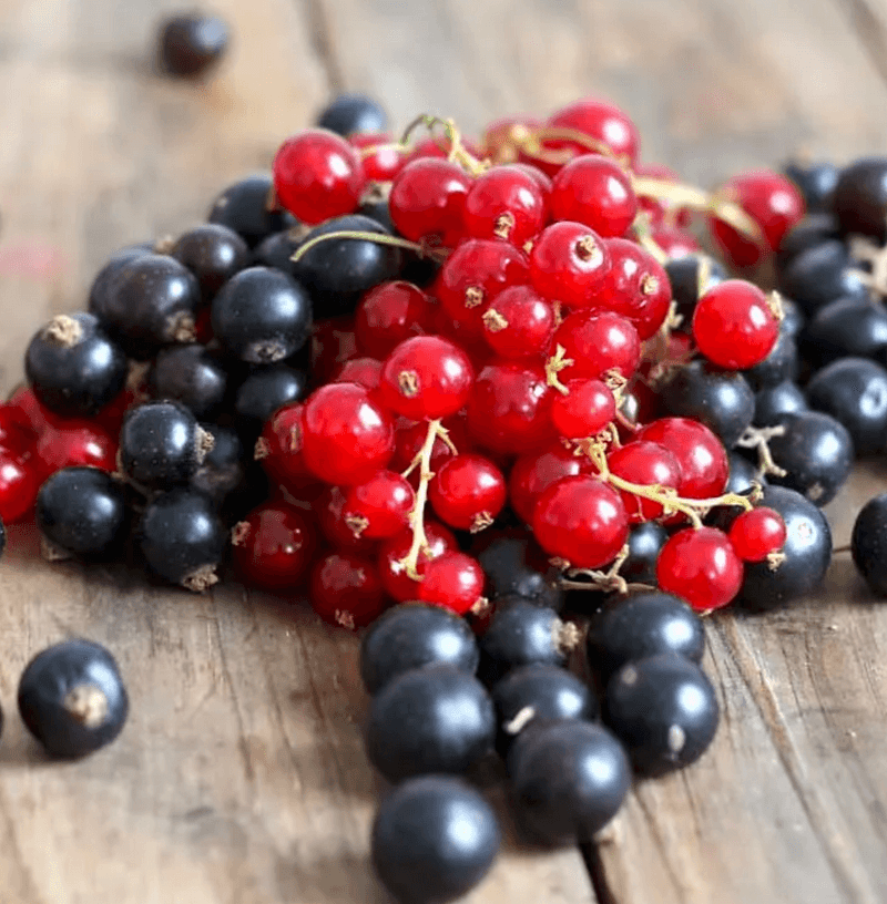 Currants