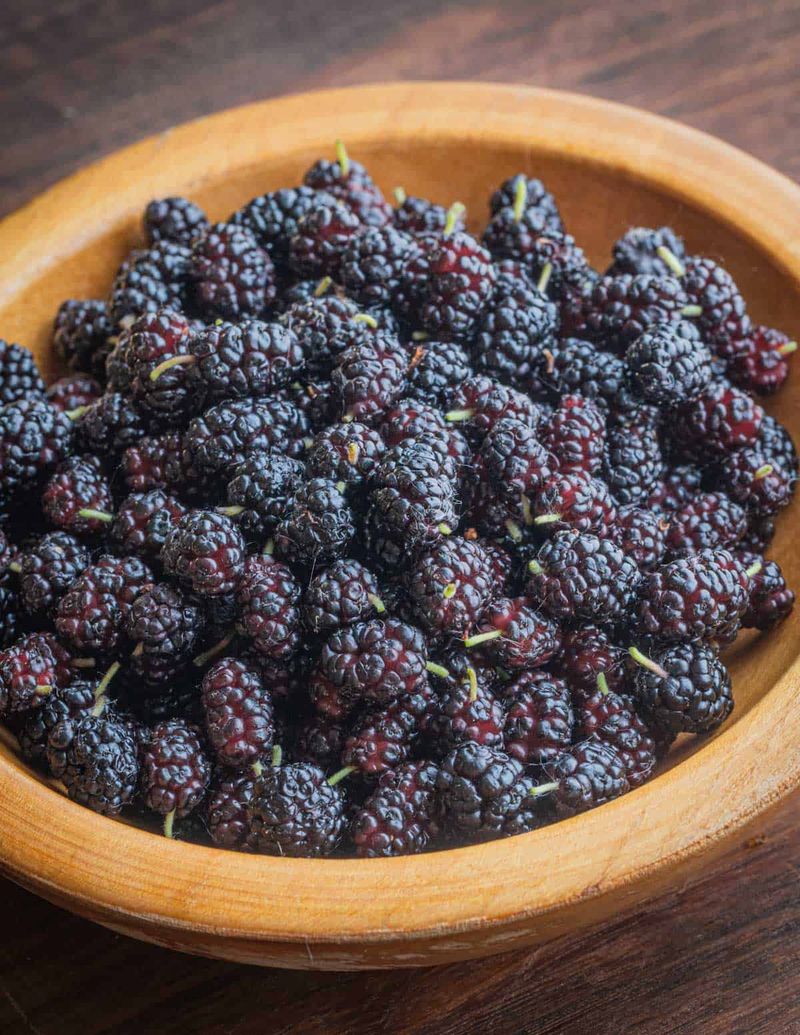 Mulberries