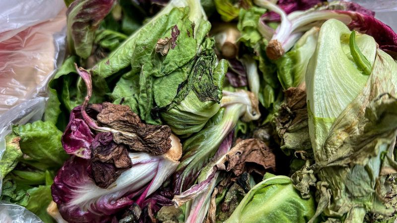 Fresh Produce Can Lose Nutrients Over Time