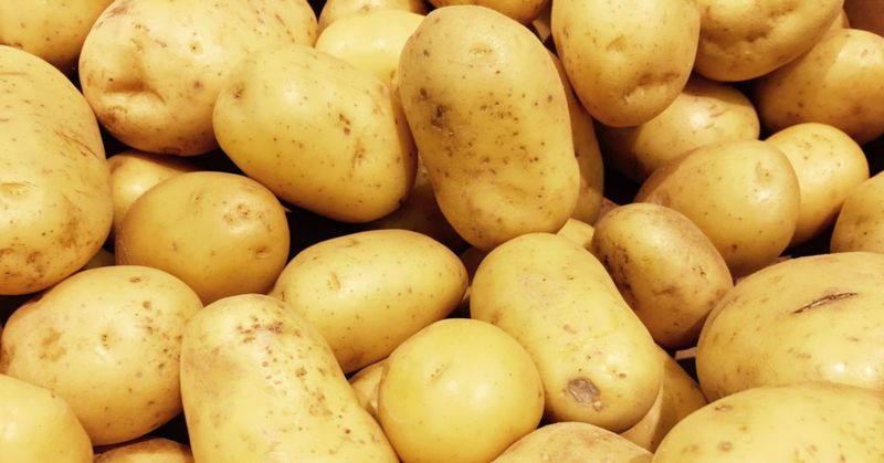 Can You Survive On Potatoes Alone?