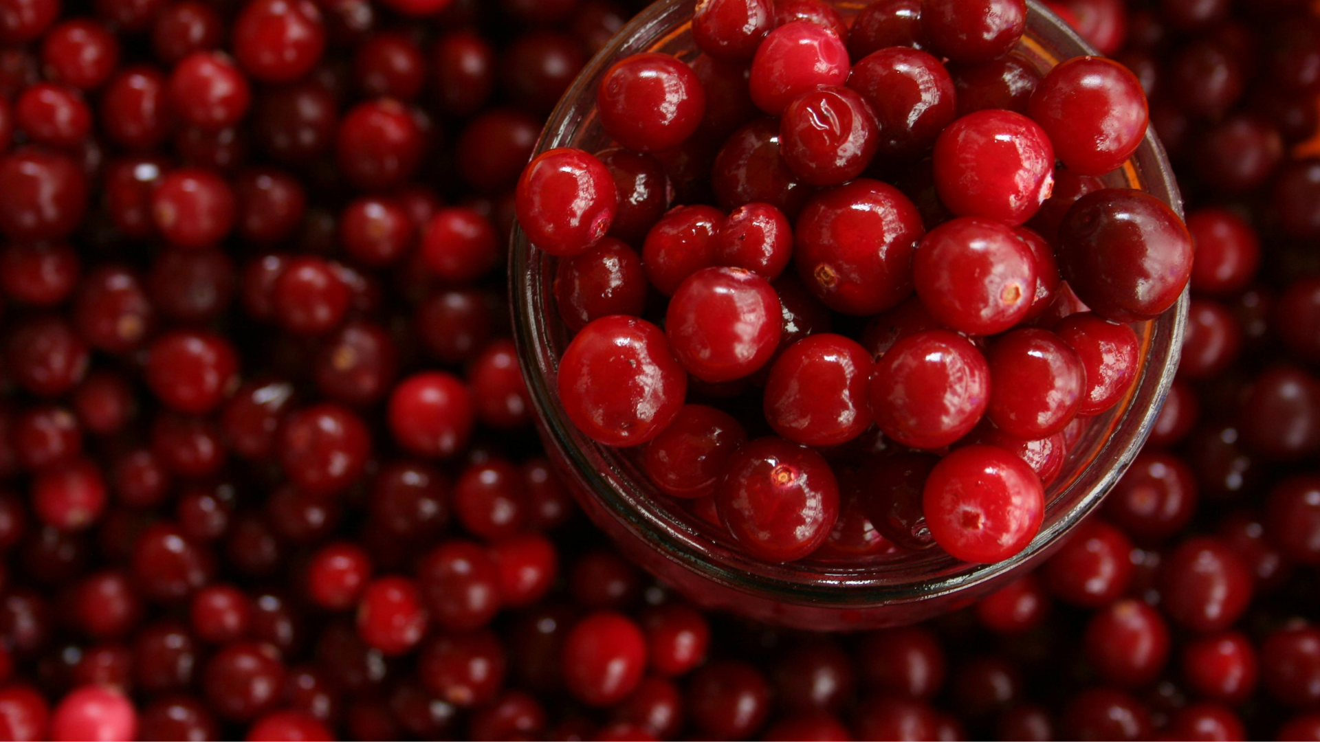 great cranberry dishes