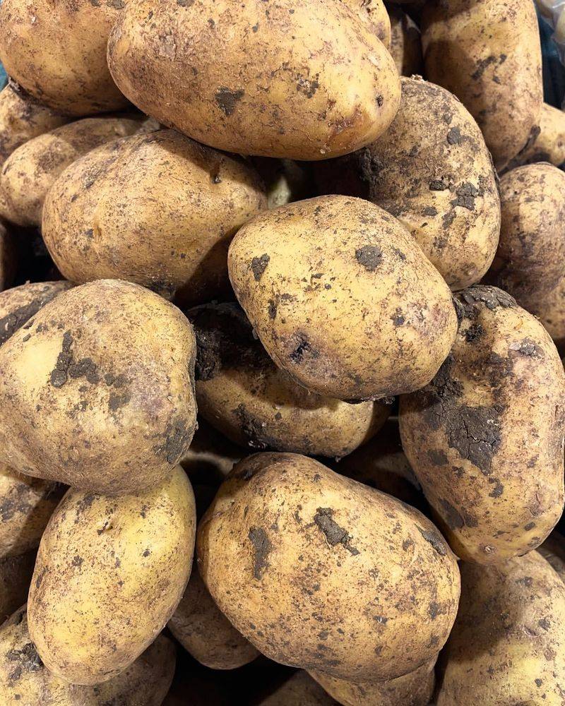 Potatoes