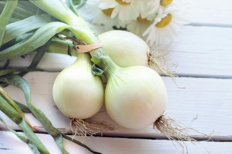 Onions
