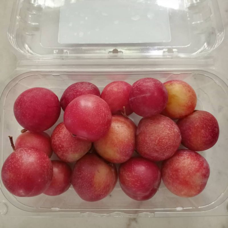 Plum